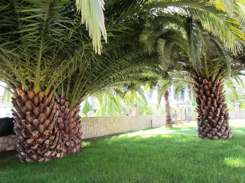 Dalyan Palmiye Resort Hotel 외부 사진