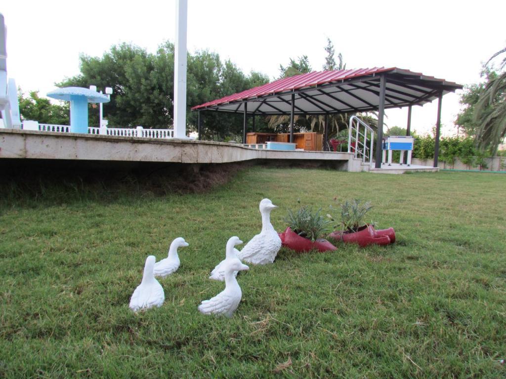 Dalyan Palmiye Resort Hotel 외부 사진
