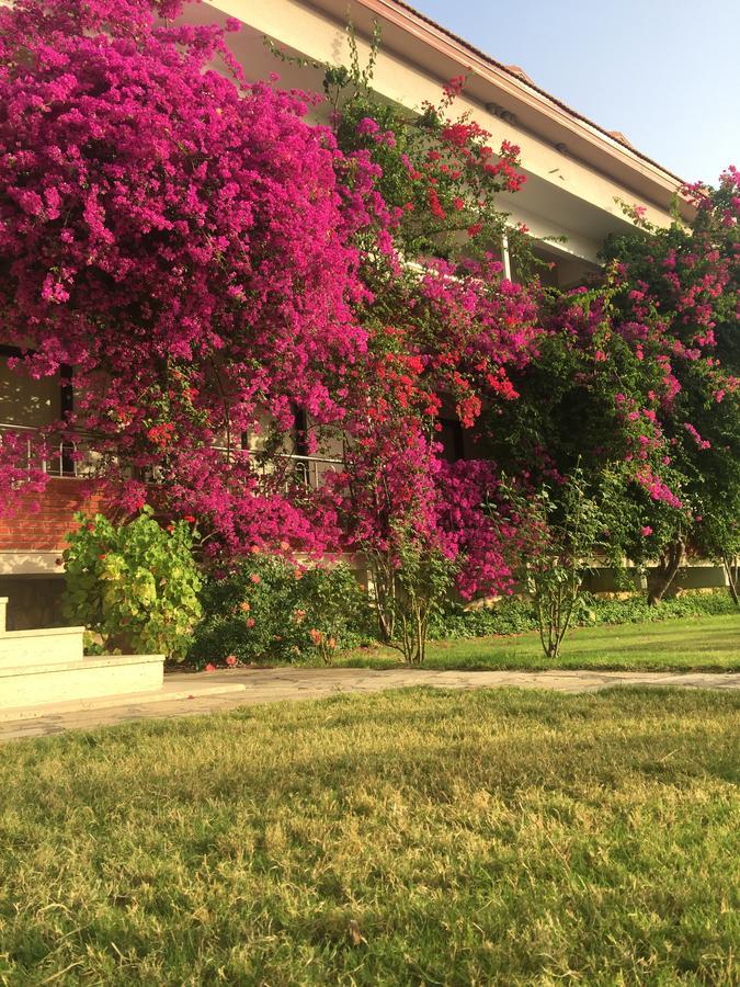 Dalyan Palmiye Resort Hotel 외부 사진